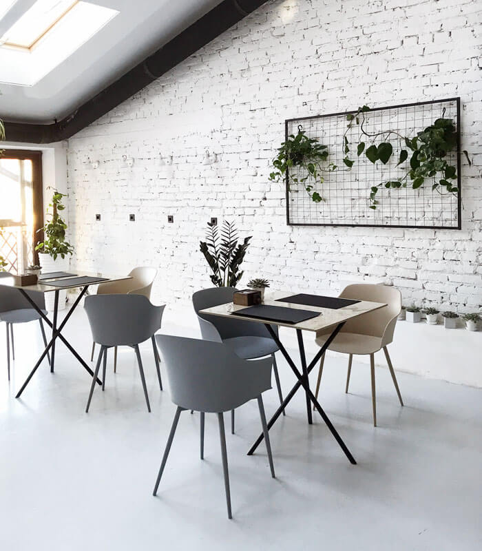 ESQUEÇA AS PAREDES ÚMIDAS